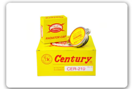 Century